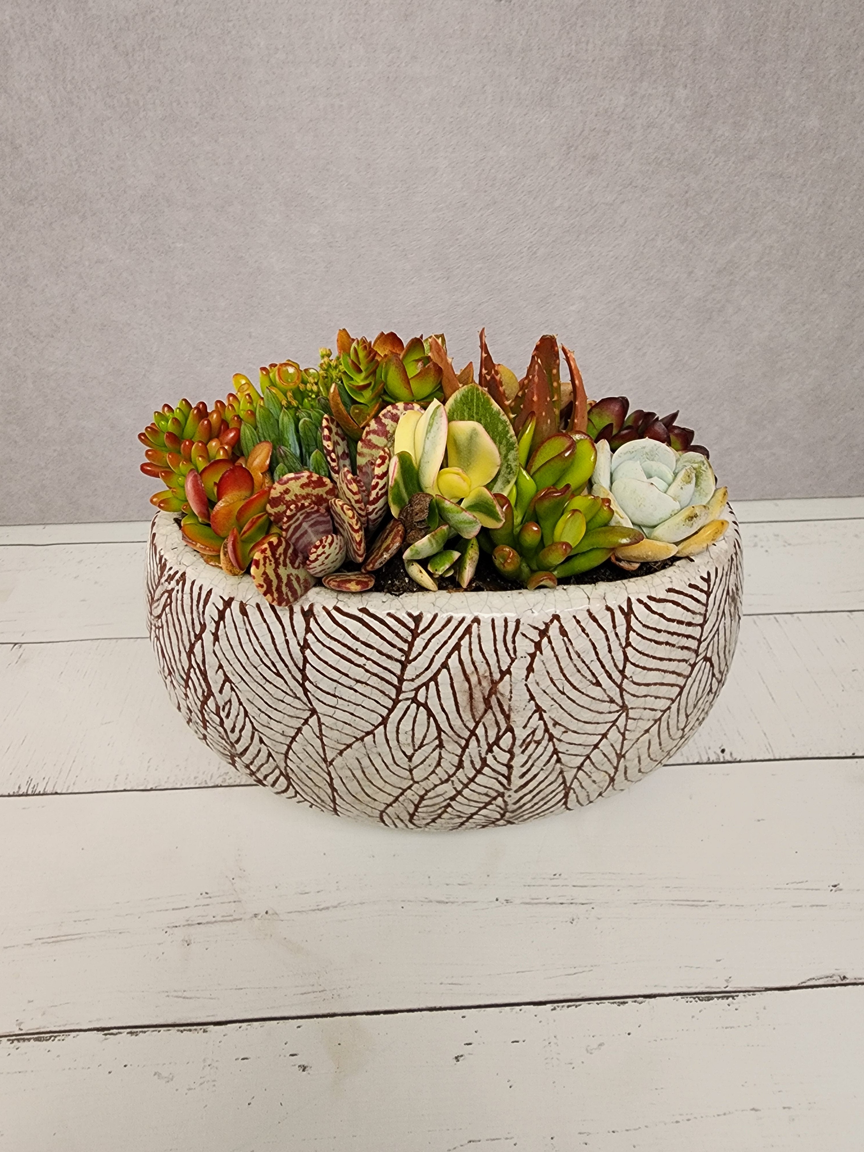 Red Leaves Pot Succulent Arrangement