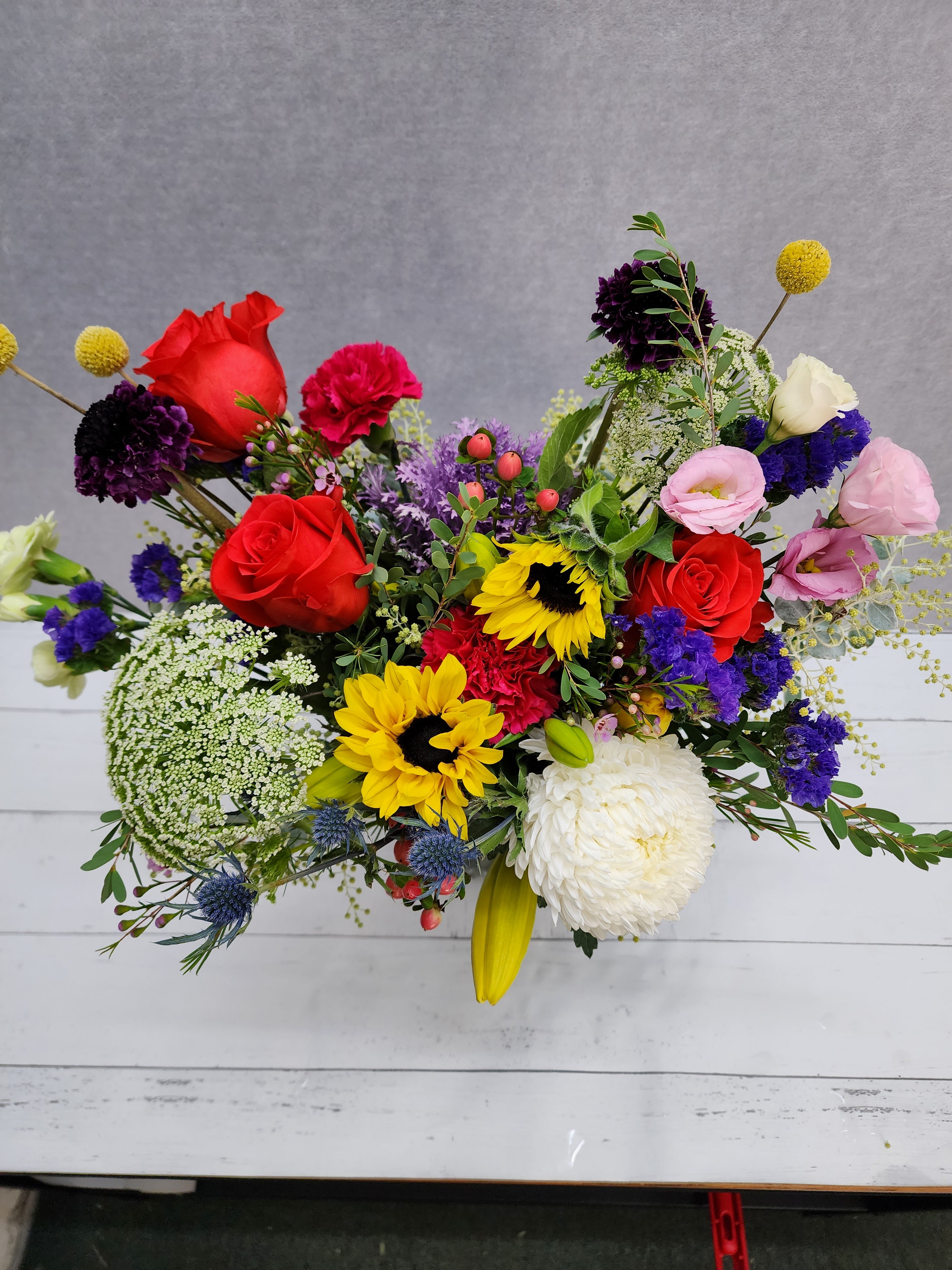 Rainbow Blooms