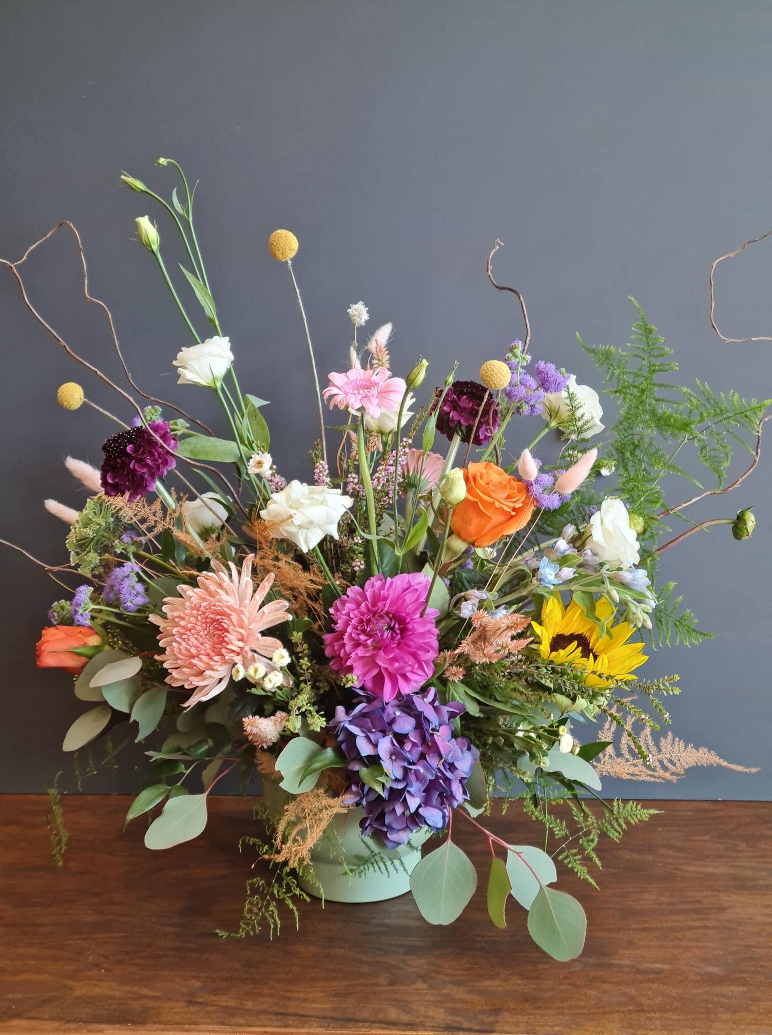 Rainbow Blooms