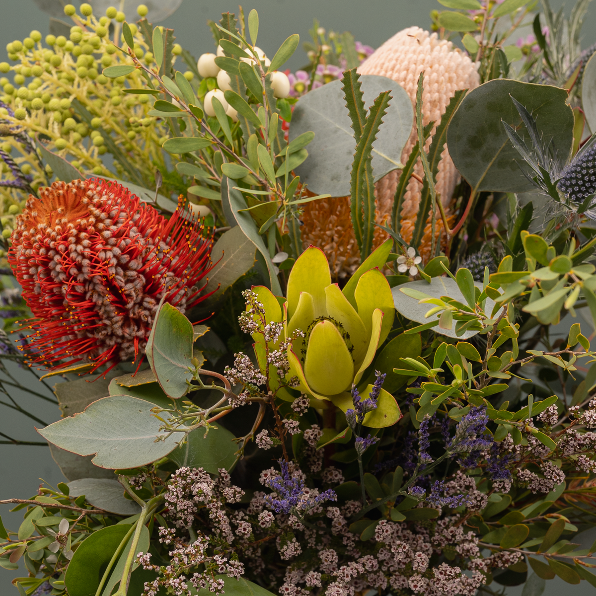 Florists Choice Native Flowers – Hills Botanic