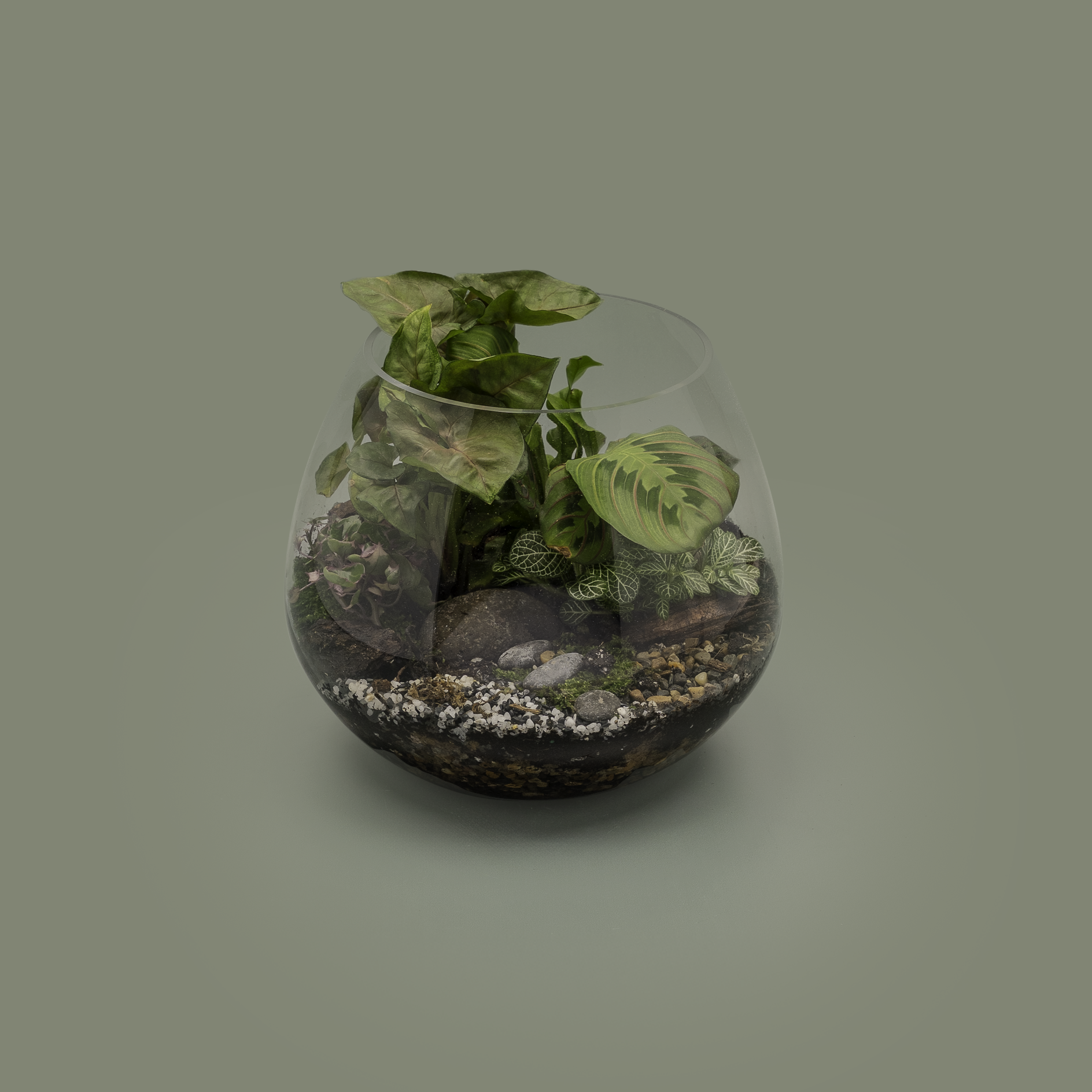 Terrarium