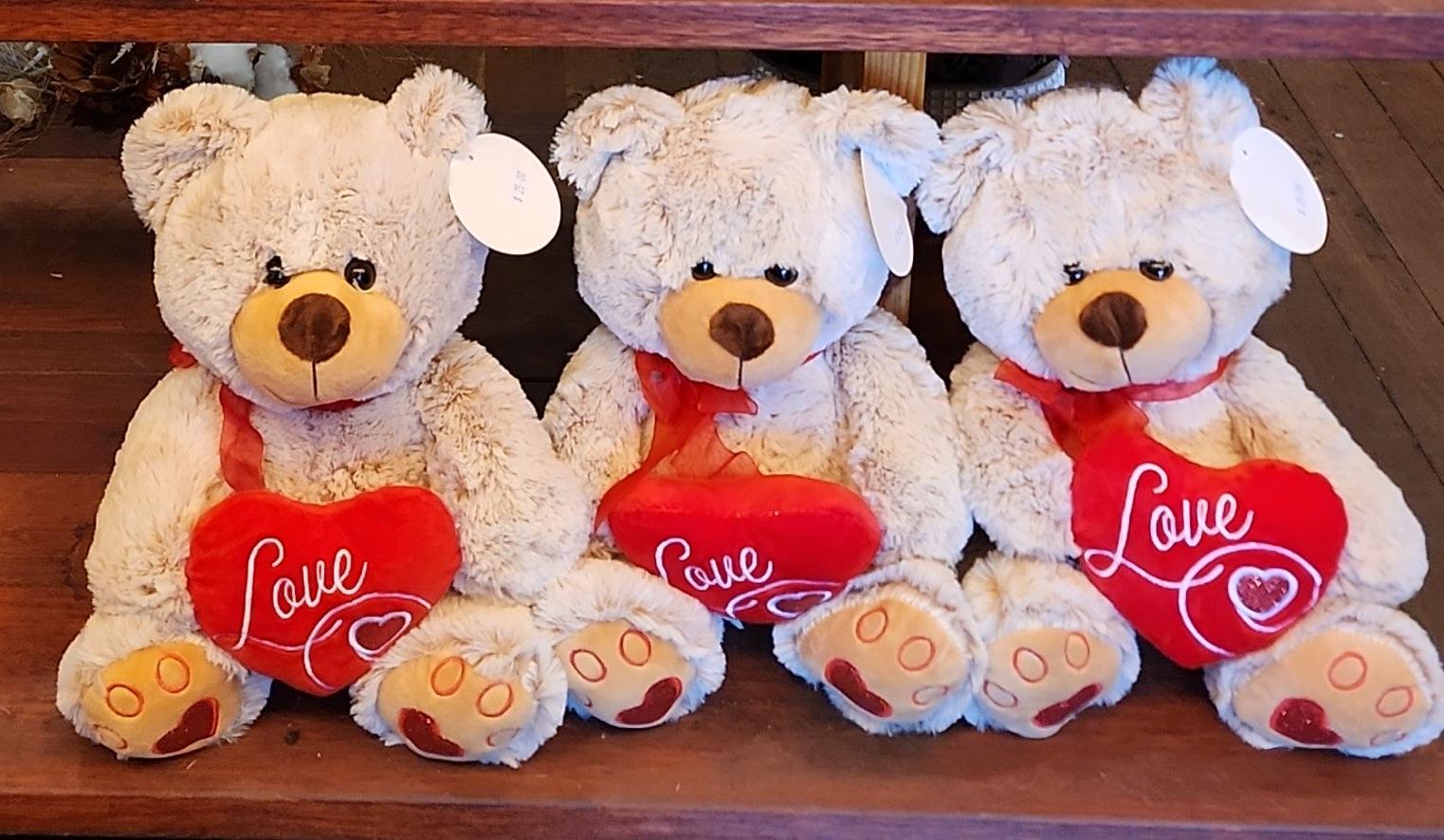 Valentines Teddy with Red Love Heart